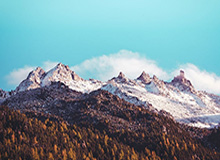 铿锵玫瑰冲击决赛席位